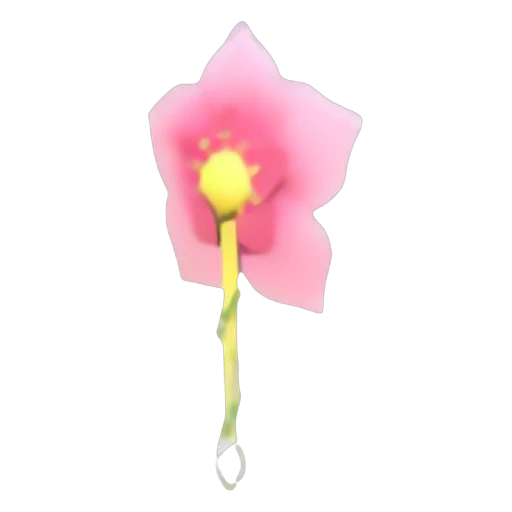 Cherry Blossom Earring in Adopt Me
