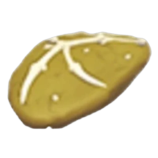 Dimorphodon Fossil in Adopt Me