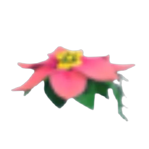 Flower Hair in Adopt Me