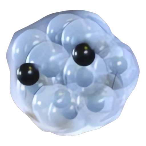 Frogspawn in Adopt Me