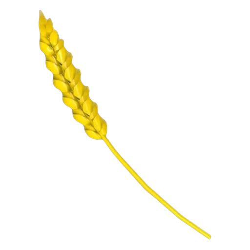 Golden Wheat in Adopt Me