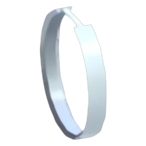 Hoop Earrings in Adopt Me