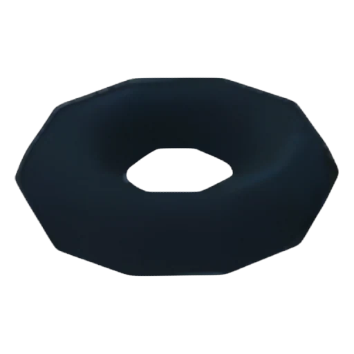 Inner Tube in Adopt Me
