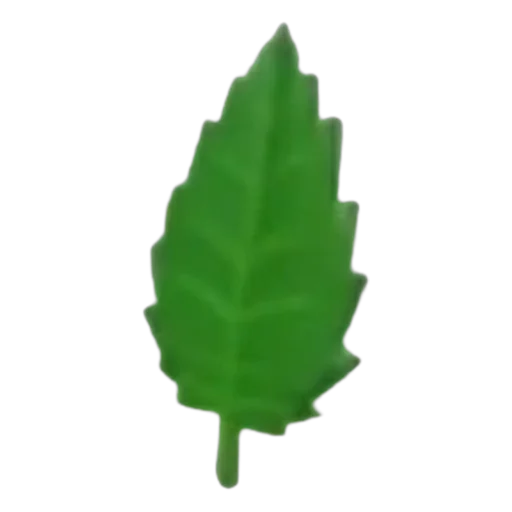 Leaf in Adopt Me