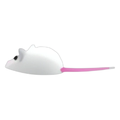 Mouse Chew Toy in Adopt Me