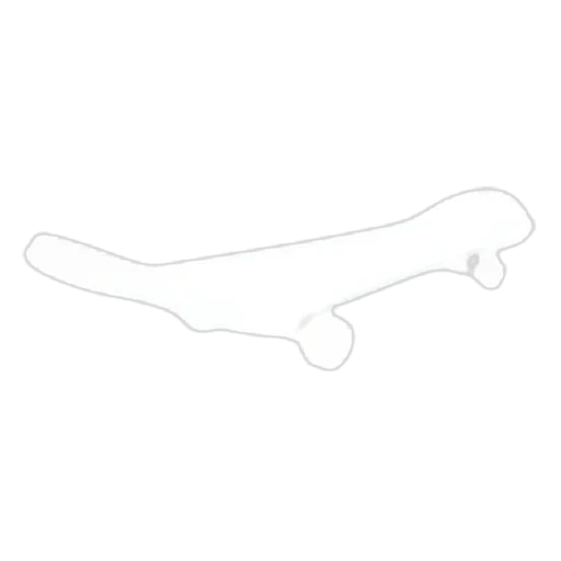 Neon White Skateboard in Adopt Me