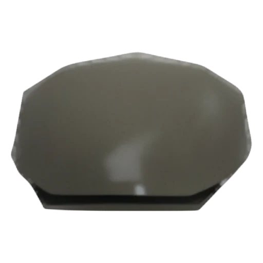 Newsboy Cap in Adopt Me