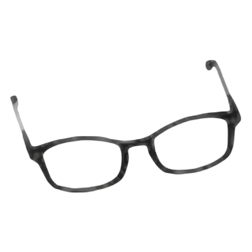 Prescription Glasses in Adopt Me