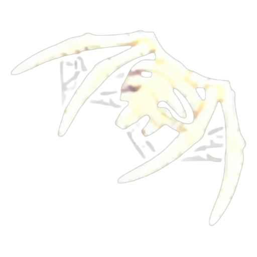 Skeleton Winged Glider in Adopt Me
