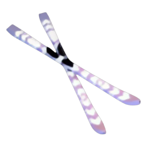 Skis in Adopt Me