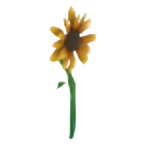 Погремушка подсолнуха (Sunflower Rattle) в Адопт Ми