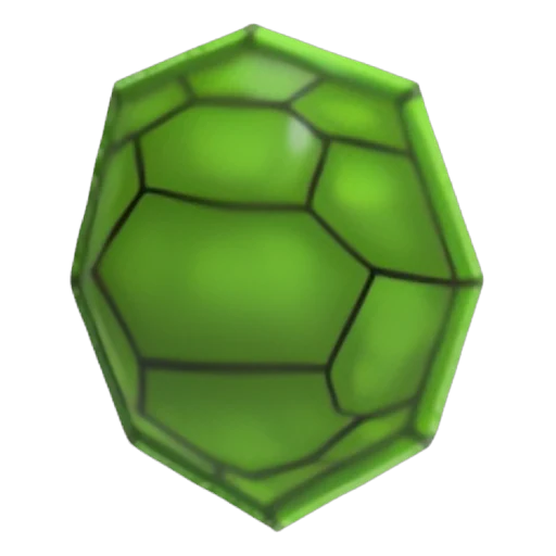 Turtle Shell in Adopt Me
